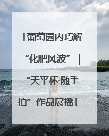 葡萄园内巧解“化肥风波”｜“天平杯·随手拍”作品展播